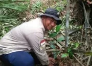 Jangan Hanya Pencitraan, Jokowi harus tahu KLHK telantarkan usulan masyarakat penjaga hutan di Siak