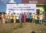 Ahmad Syah Harrofie bersama Petani Raih Kemenangan, Bangkitkan Ekonomi Rakyat