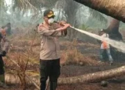 Kebakaran Hutan dan Lahan,Kapolres Inhil Turun Langsung Padamkan Api