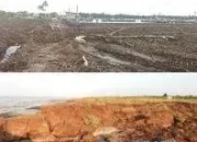 Hutan Manggrove Ratusa HA Terus Dirambah, Proses Kehancuran Pulau Bengkalis Makin cepat