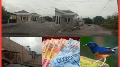 Diduga Bisnis Ungas Di Perumahan Resahkan Warga Setempat