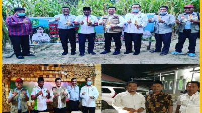 Panen Jagung di Kawasan Agrowisata RA Kopi Aren Dihadiri Pjs Bupati Bengkalis