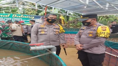 Kapolres Merangin Tinjau Langsung Budi Daya Ikan Lele dan Panen Perdana.