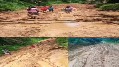 Rusak Parah!!! Jalan Mekar Limau Manis Menuju Kecamatan Tabir Ilir