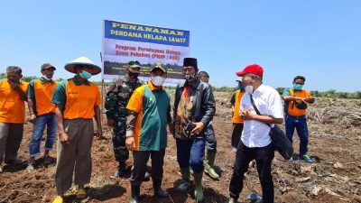 Wabup Bengkalis Tanam Perdana Program PSR di Desa Sumber Jaya Siak Kecil