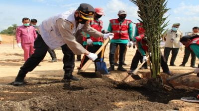 Forkopimda Tanam 400 Pohon Kurma di Hari Jadi Kota Pekanbaru Ke-237