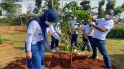 Jasa Raharja Hijaukan Jakarta dengan Tanam 300 Bibit Pohon Sirsak