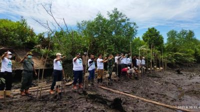 PT THIP Peduli Pemulihan dan Melestarikan Mangrove Dilahan Konservasi