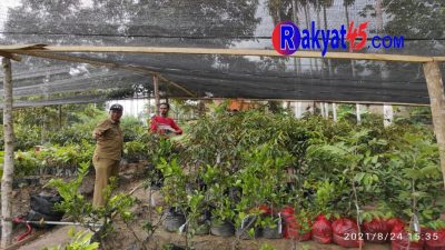 Medco E&P Dukung Petani Aceh Timur Dengan Ribuan Bibit Buah Unggul
