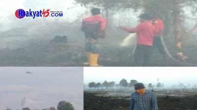 Petugas Gabungan Berjibaku Memadamkan Karhutla di Perbatasan Desa Sungai Batang dan Desa Klemantan Barat