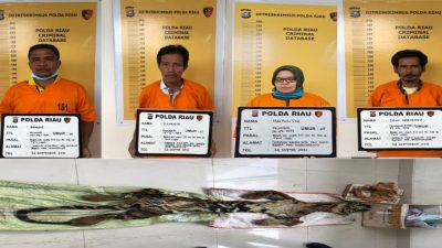 Tim Gabungan Subdit IV Krimsus Bersama Petugas BKSDA Tangkap 4 Pelaku Perdangan Satwa Dilindungi