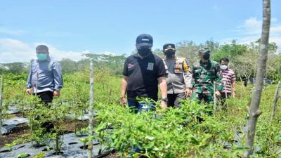 Gubernur Riau Tinjau Langsung Lahan Kampung Tangguh Polres Bengkalis