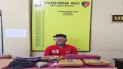 Polres Rokan Hulu Gerak Cepat Sikat Pemilik Ganja Kering Sebanyak 2,4 Kg