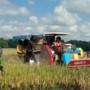 Ket gambar : Kegiatan monitoring lapangan mewujudkan swaswmbada pangan di Aceh Timur (foto/Susi)
