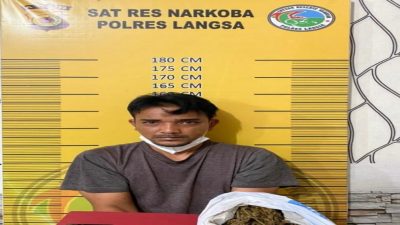 Simpan Ganja Dalam Jok Sepmor,Oknum Satpol PP Ditangkap Polisi