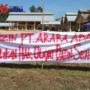 izin PT. Arara Abadi kembalikan hak Ulayat Batin Sengeri (foto/Soni Lahagu)