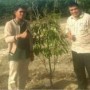 Ket : Kadis LHK Riau Singgah ke Agro-Wisata Durian Musangking RR FARM di Pematang Semut (foto/Istimewa)