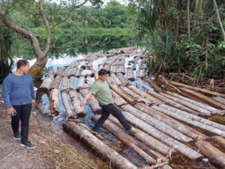 Ket : Tim Direktorat Kriminal Khusus Polda Riau membongkar mafia kayu Illegal Logging di hutan lindung daerah Siak Kecil Bengkalis (foto/Istimewa)