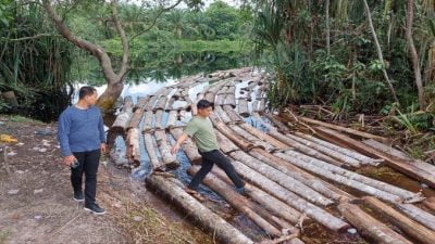 Dugaan Pembalakan Liar di Cagar Biosfer Giam Siak Kecil, Polda Riau Bongkar 10 Ton Kayu Illegal Logging