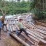Ket : Tim Direktorat Kriminal Khusus Polda Riau membongkar mafia kayu Illegal Logging di hutan lindung daerah Siak Kecil Bengkalis (foto/Istimewa)