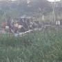 Ket : Berkedok pembangunan Masjid, tambang timah ilegal marak di Kota Pangkalpinang (foto/KBO Babel)