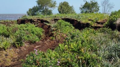 Abrasi Menjadi Momok Menakutkan di Pulau Bengkalis
