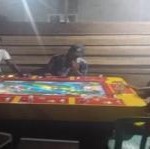 Teks foto : Jekpot judi tembak ikan ikan di Desa Dayo dan Sei Kuning (Irwansyah H).