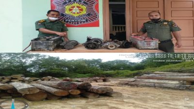 Tim Gabungan Terpadu Operasi di Hutan Lindung Bukit Batabuh, Mamun Murod; Ratusan Tual log, Excavator Diamankan