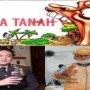 Teks foto : Kapolda Riau Irjen Pol Mohammad Iqbal S.IK MH, dan Aktivis Riau Lintas Zaman, Larshen Yunus serta Ilustrasi makan tanah (Istimewa).