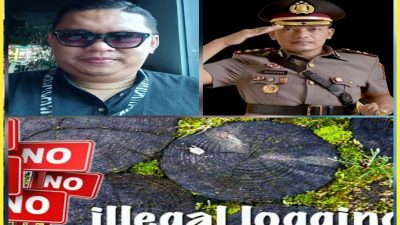Praktek Ilegal Loging di Rohil Semakin Marak, Aktivis Larshen Yunus: “Percayakan Saja Sama Kapolres Nurhadi”