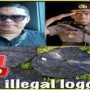 Teks foto : Aktivis Larshen Yunus, AKBP Nurhadi Ismanto dan Ilustrasi Ilegal Loging (Istimewa).