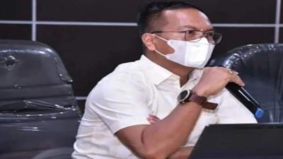 Kesemrautan Antrian Kendaraan Roro Rupat-Dumai, Syahrial Kecewa Dishub Provinsi Riau