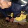 Teks foto : Tawan Pasaribu udah babak belur di hajar Security PT Musimas fotonya di kirim istri.(foto/dok.Ade Istri Tawan Pasaribu).