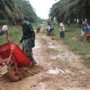 Teks foto : Kodim 0303/Bengkalis bergotong royong bersama masyarakat setempat dengan membersihkan lokasi Pra TMMD jalan di Desa Semunai Kecamatan Pinggir (istimewa).
