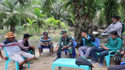 Dandim 0303/Bengkalis Tinjau Proses Pengerjaan Jalan Penghubung Antar Desa di Kecamatan Pinggir