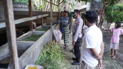 Polres Kota Probolinggo Gandeng Dinas Kesehatan Temukan Hewan Ternak Terinfeksi Wabah PMK