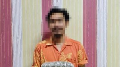Kurang dari Sepekan, Bea Cukai Batam Gagalkan Pengiriman Dua Paket Ganja