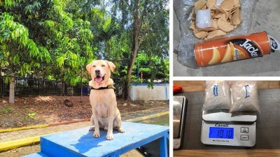 Anjing Pelacak Bea Cukai Batam Berhasil Endus Paket Berisi Sabu-sabu Tujuan Lombok