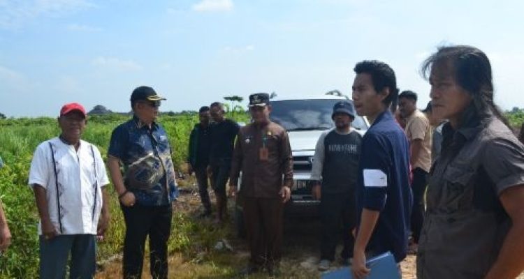 Diduga Mafia Tanah, Tiba-tiba Rasliansyah Klaim Dua Hektar Itu Tanahnya