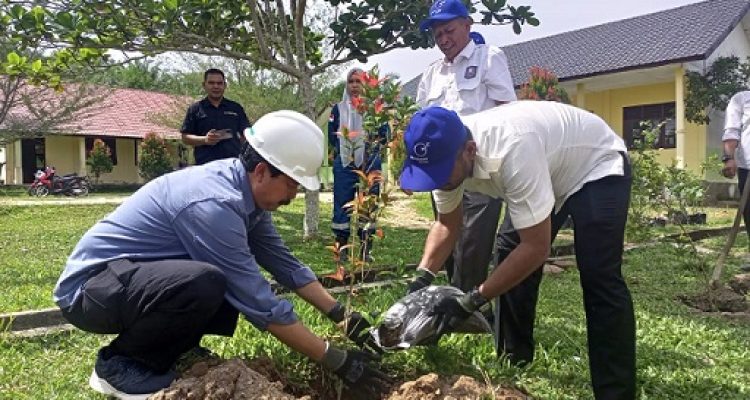 Medco E&P gelar penanaman pohon unggulan dan diskusi di Sman 1 indra makmu