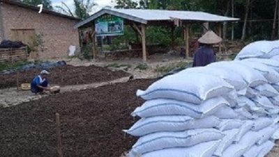 Petani di Sumatera Selatan Kembangkan Pupuk Organik