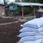 Petani di Sumatera Selatan Kembangkan Pupuk Organik