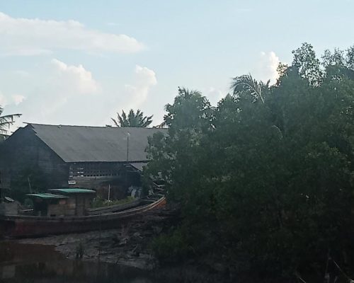 Aktivis soroti pengusaha arang perusak hutan mangrove di Desa Kadur Rupat
