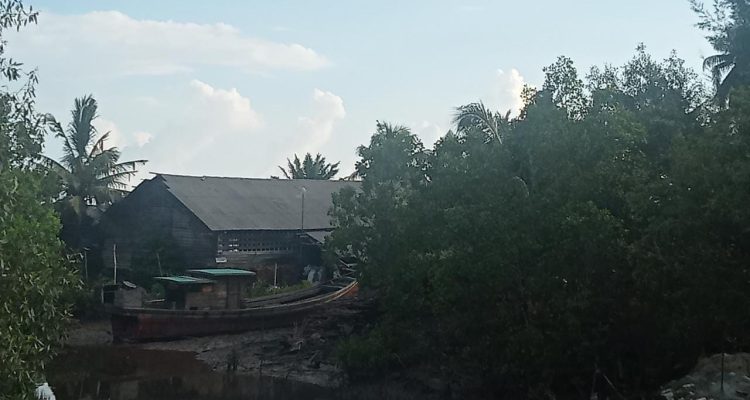 Aktivis soroti pengusaha arang perusak hutan mangrove di Desa Kadur Rupat