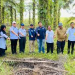 Pemkab Sosialisasi Dan Survei Pengadaan Tanah Sumur Terusan-01 KKKS EMP Bentu