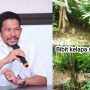 Pengadaan Bibit Sawit 2022 Diduga