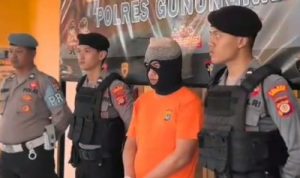 Pelaku Tindak Pidana Pencurian Sapi Berhasil Di Bekuk Polisi
