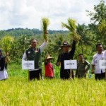 Bupati Gunungkidul H. Sunaryanta dan Ketua Kelompok Tani Melakukan Panen