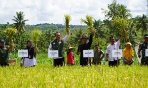 Bupati Gunungkidul H. Sunaryanta dan Ketua Kelompok Tani Melakukan Panen