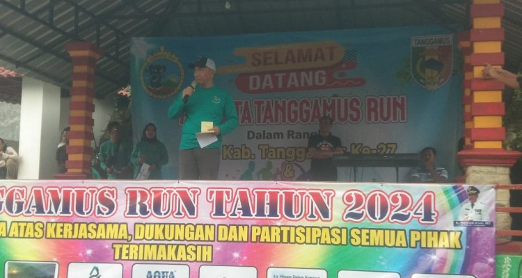 Pj Bupati Tanggamus, Mulyadi Irsan. (istimewa)